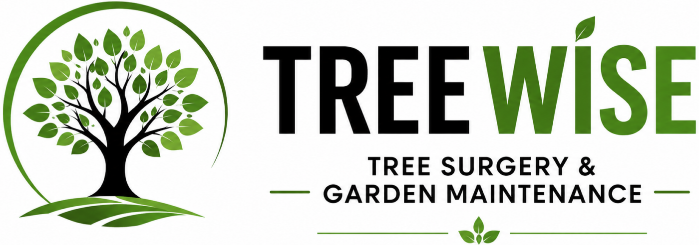 Treewise Tree Surgery & Garden Maintenance Ltd